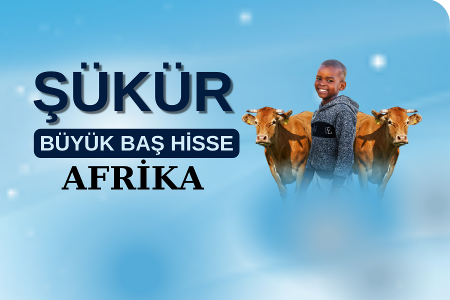 YURTDIŞI KURBAN BAĞIŞI 1 HİSSE