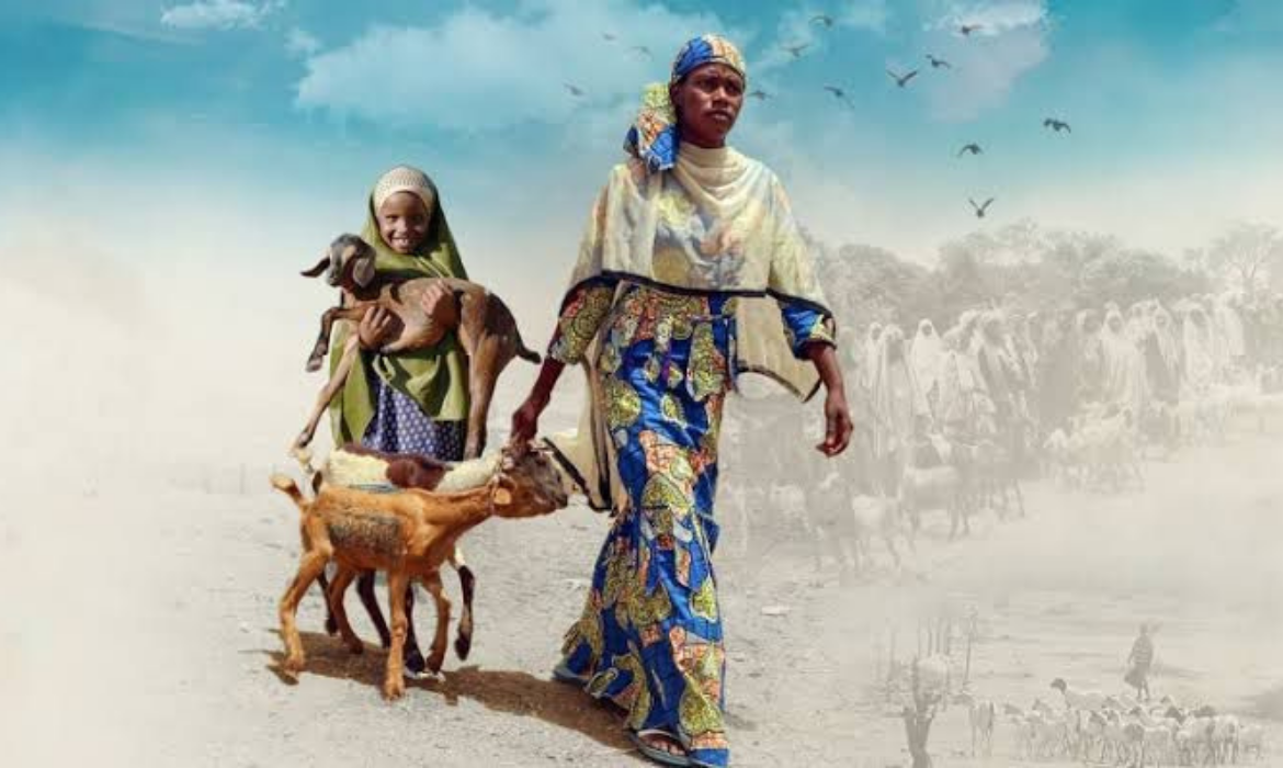  Afrika’ya Yapılan Yardımlar Nelerdir?