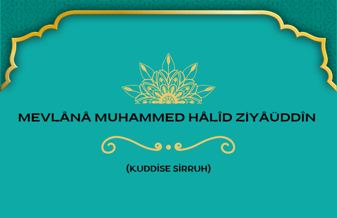 Mevlânâ Muhammed Hâlîd Ziyâüddîn Hazretleri (Kuddise Sirruhû)